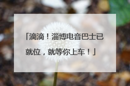滴滴！淄博电音巴士已就位，就等你上车！