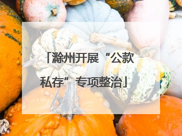 滁州开展“公款私存”专项整治