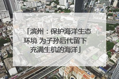 滨州：保护海洋生态环境 为子孙后代留下充满生机的海洋