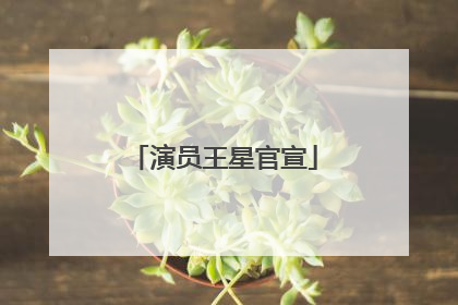演员王星官宣