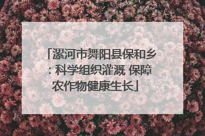 漯河市舞阳县保和乡：科学组织灌溉 保障农作物健康生长