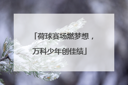 荷球赛场燃梦想，万科少年创佳绩
