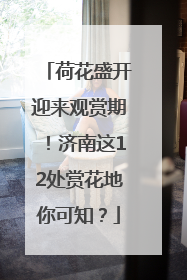 荷花盛开迎来观赏期！济南这12处赏花地你可知？