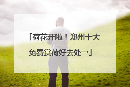 荷花开啦！郑州十大免费赏荷好去处→