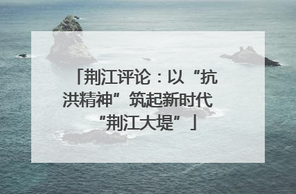 荆江评论：以“抗洪精神”筑起新时代“荆江大堤”