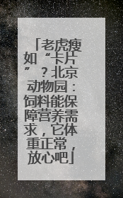 老虎瘦如“卡片”？北京动物园：饲料能保障营养需求，它体重正常，放心吧