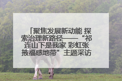 聚焦发展新动能 探索治理新路径——“祁连山下是我家 彩虹张掖福感地带”主题采访活动走进山丹