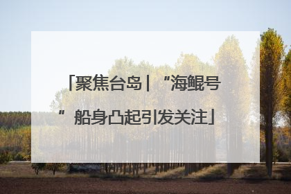 聚焦台岛│“海鲲号”船身凸起引发关注
