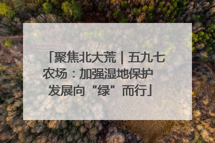 聚焦北大荒｜五九七农场：加强湿地保护 发展向“绿”而行
