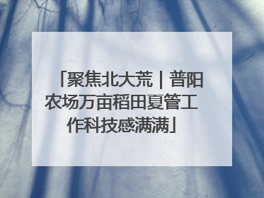 聚焦北大荒｜普阳农场万亩稻田夏管工作科技感满满
