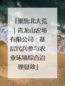 聚焦北大荒｜青龙山农场有限公司：基层民兵参与农业环境综合治理显效