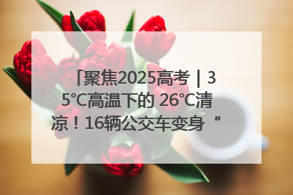 聚焦2025高考｜35℃高温下的 26℃清凉！16辆公交车变身“助考驿站”为高考护航