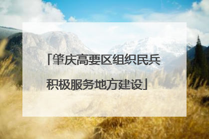 肇庆高要区组织民兵积极服务地方建设