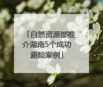 自然资源部推介湖南5个成功避险案例