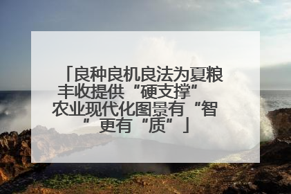 良种良机良法为夏粮丰收提供“硬支撑” 农业现代化图景有“智”更有“质”
