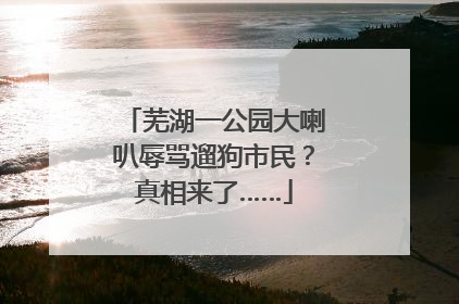 芜湖一公园大喇叭辱骂遛狗市民？真相来了……