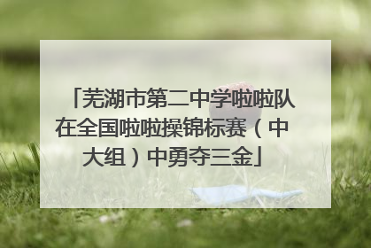 芜湖市第二中学啦啦队在全国啦啦操锦标赛（中大组）中勇夺三金