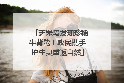 芝罘岛发现珍稀牛背鹭！政民携手护生灵重返自然