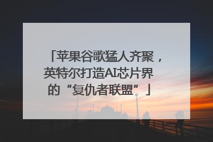 苹果谷歌猛人齐聚，英特尔打造AI芯片界的“复仇者联盟”