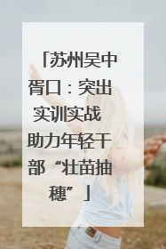 苏州吴中胥口：突出实训实战 助力年轻干部“壮苗抽穗”