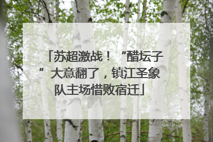 苏超激战！“醋坛子”大意翻了，镇江圣象队主场惜败宿迁