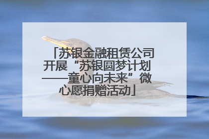 苏银金融租赁公司开展“苏银圆梦计划——童心向未来”微心愿捐赠活动