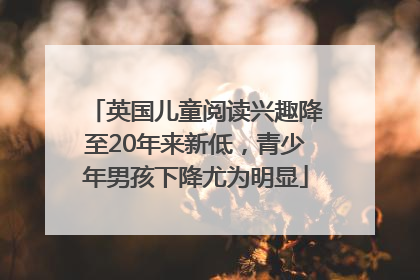 英国儿童阅读兴趣降至20年来新低，青少年男孩下降尤为明显