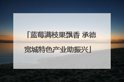 蓝莓满枝果飘香 承德宽城特色产业助振兴