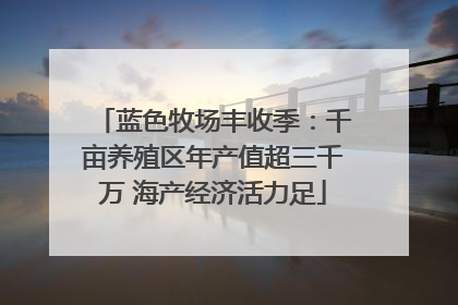 蓝色牧场丰收季：千亩养殖区年产值超三千万 海产经济活力足