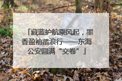 藏蓝护航乘风起，墨香盈袖踏浪行——东海公安圆满“交卷”