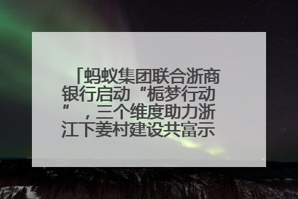 蚂蚁集团联合浙商银行启动“栀梦行动”，三个维度助力浙江下姜村建设共富示范区示范点