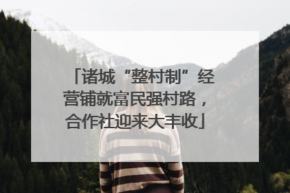诸城“整村制”经营铺就富民强村路，合作社迎来大丰收