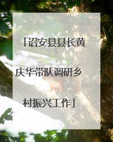 诏安县县长黄庆华带队调研乡村振兴工作