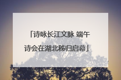 诗咏长江文脉 端午诗会在湖北秭归启幕
