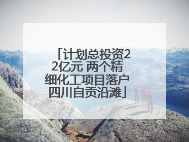 计划总投资22亿元 两个精细化工项目落户四川自贡沿滩