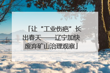 让“工业伤疤”长出春天——辽宁加快废弃矿山治理观察