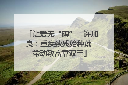 让爱无“碍”｜许加良：重疾致残始种藕 带动致富靠双手