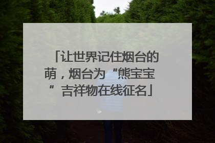 让世界记住烟台的萌，烟台为“熊宝宝”吉祥物在线征名