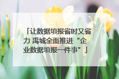 让数据填报省时又省力 禹城全面推进“企业数据填报一件事”
