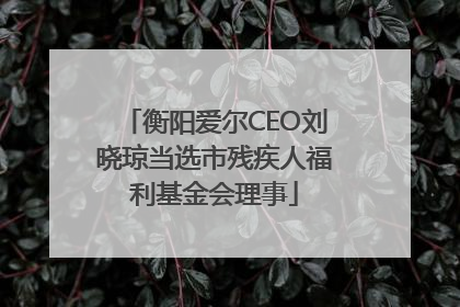 衡阳爱尔CEO刘晓琼当选市残疾人福利基金会理事