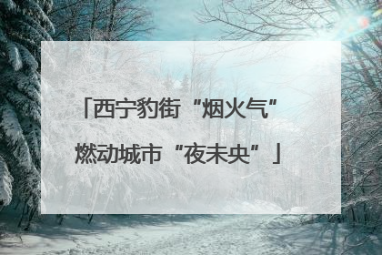 西宁豹街“烟火气” 燃动城市“夜未央”