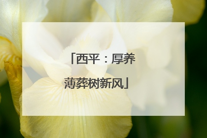 西平：厚养薄葬树新风