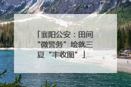 襄阳公安：田间“微警务”绘就三夏“丰收图”