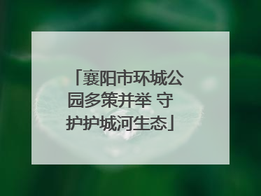 襄阳市环城公园多策并举 守护护城河生态