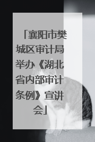 襄阳市樊城区审计局举办《湖北省内部审计条例》宣讲会