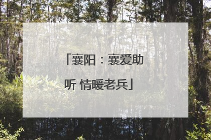 襄阳：襄爱助听 情暖老兵