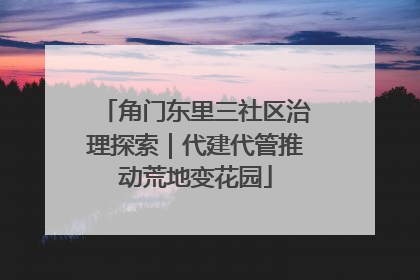 角门东里三社区治理探索｜代建代管推动荒地变花园