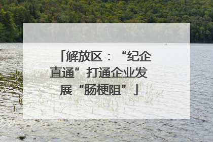 解放区：“纪企直通”打通企业发展“肠梗阻”