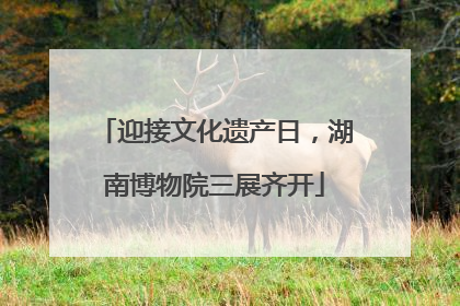 迎接文化遗产日，湖南博物院三展齐开