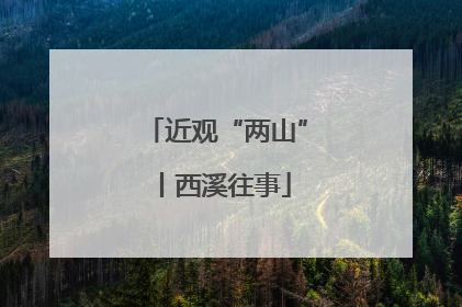 近观“两山”丨西溪往事